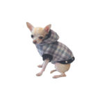 Snuggle Flannel Studded Dog Coat
